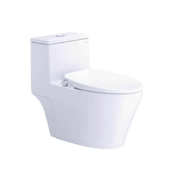 Bồn cầu 1 khối nắp rửa cơ Caesar C1356F + TAF060 (CD1356+TAF060)