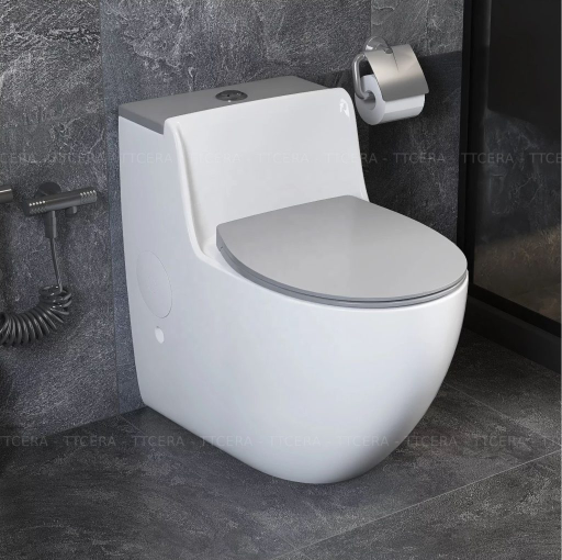 Bồn cầu 1 khối